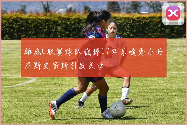 雄鹿G联赛球队裁掉17年乐透秀小丹尼斯史密斯引发关注