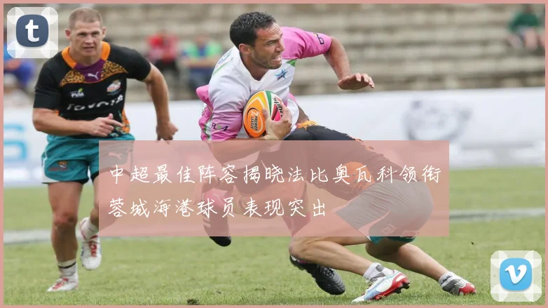 中超最佳阵容揭晓法比奥瓦科领衔蓉城海港球员表现突出